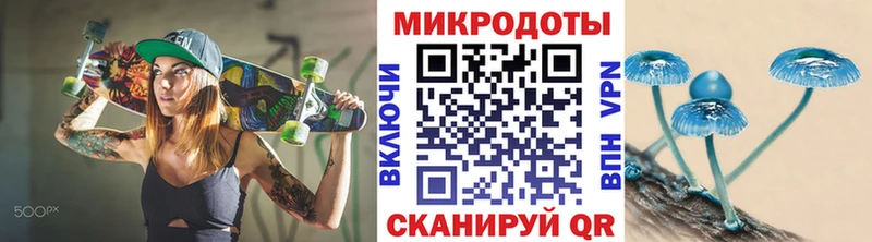 blacksprut зеркало Калуга Галлюциногенные грибы Psilocybe